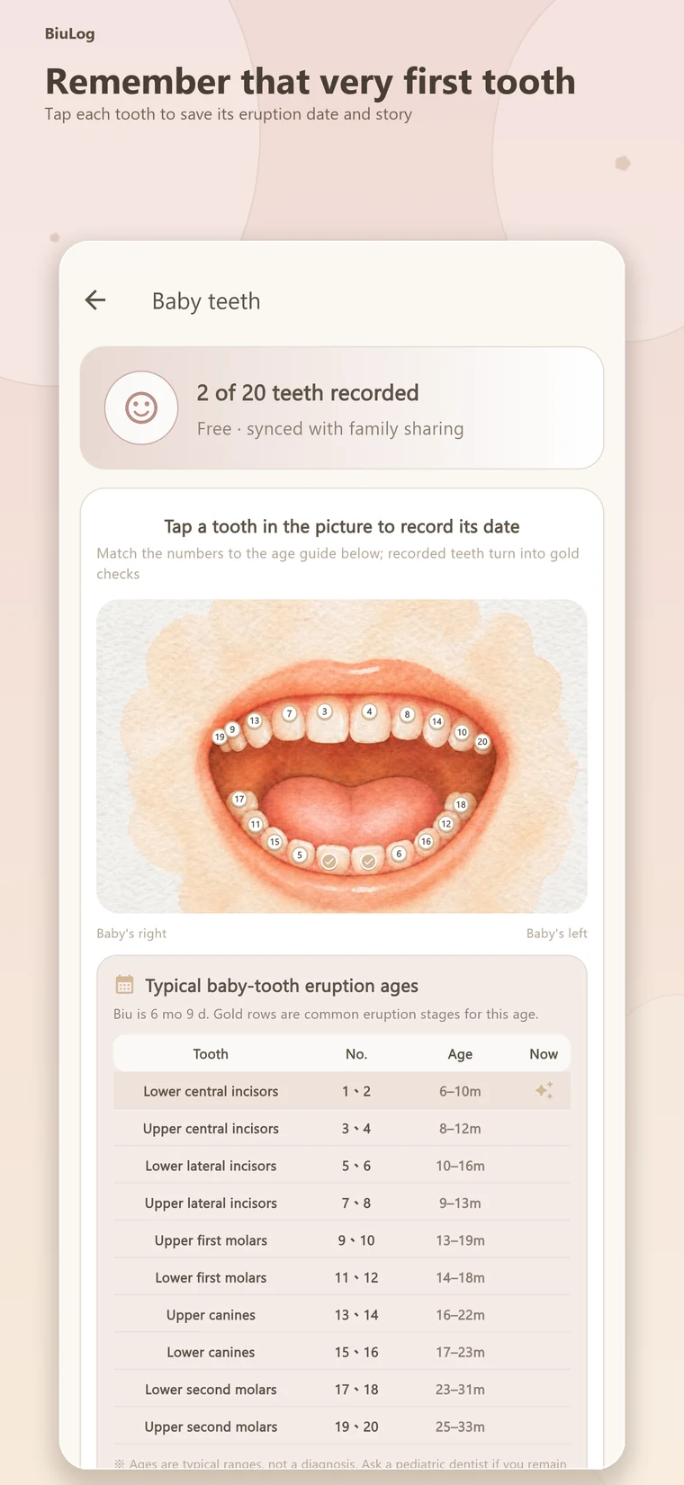 Baby teeth