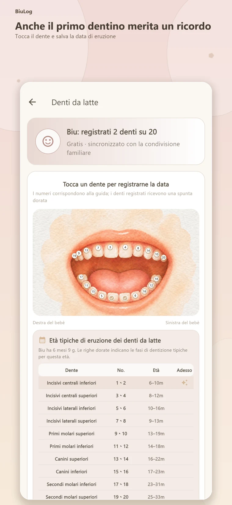 Dentini